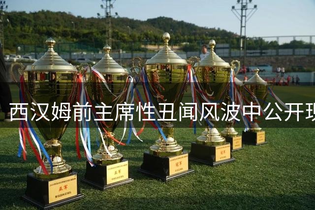 西汉姆前主席性丑闻风波中公开现身 联赛杯观战引争议
